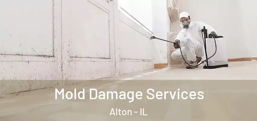  Mold Damage Services Alton - IL