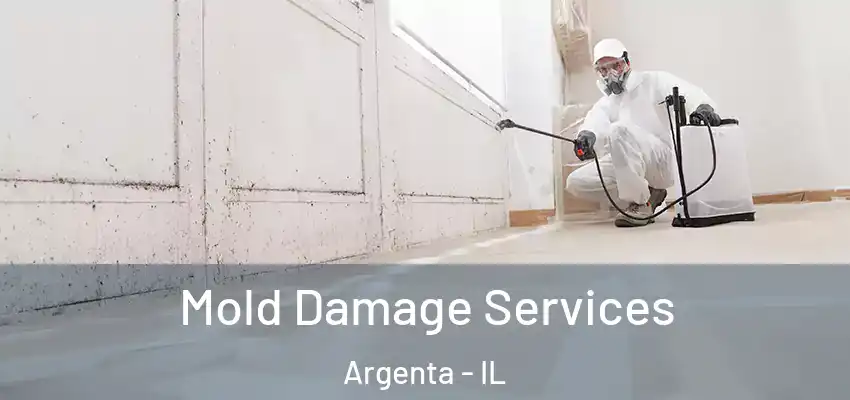  Mold Damage Services Argenta - IL