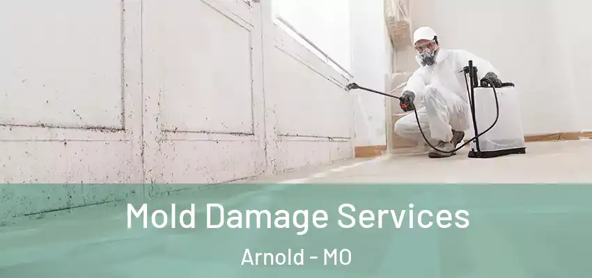  Mold Damage Services Arnold - MO