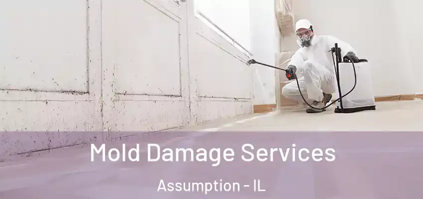  Mold Damage Services Assumption - IL