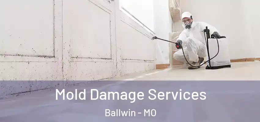  Mold Damage Services Ballwin - MO