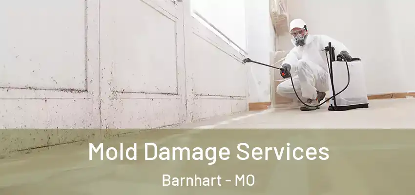  Mold Damage Services Barnhart - MO