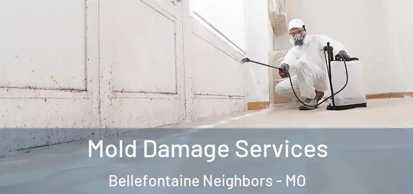  Mold Damage Services Bellefontaine Neighbors - MO