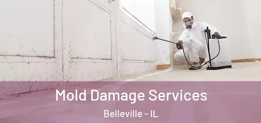  Mold Damage Services Belleville - IL