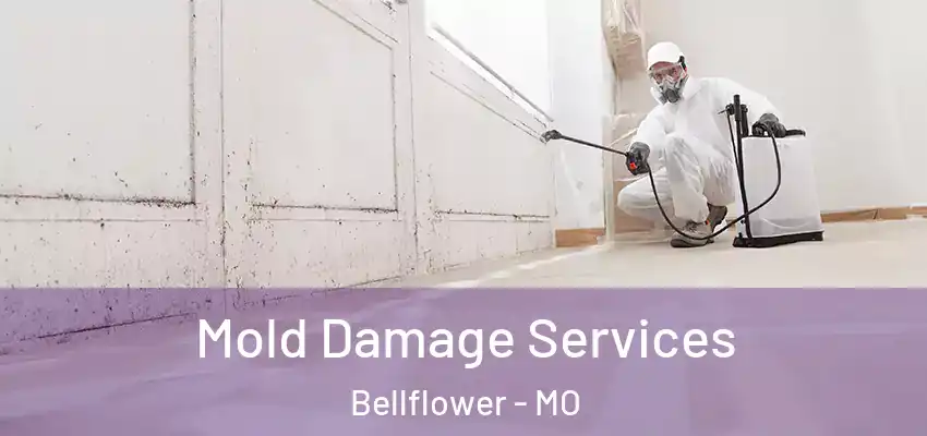  Mold Damage Services Bellflower - MO