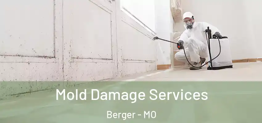  Mold Damage Services Berger - MO