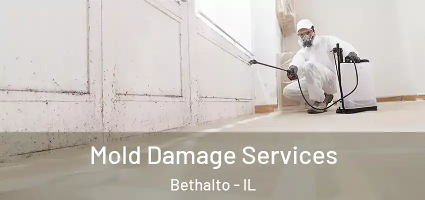  Mold Damage Services Bethalto - IL