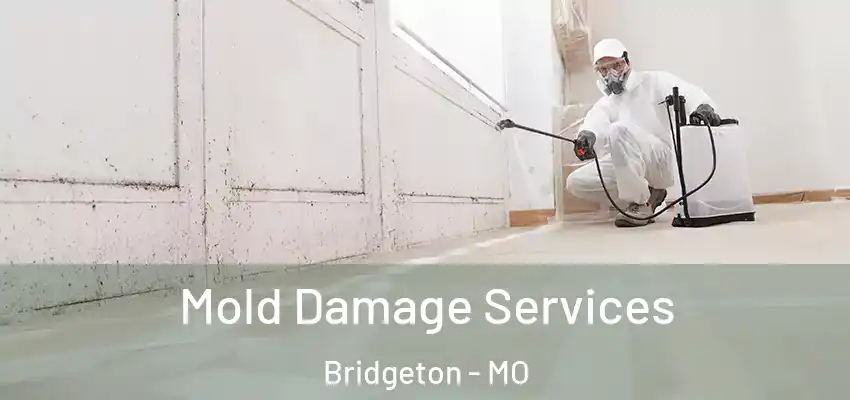  Mold Damage Services Bridgeton - MO