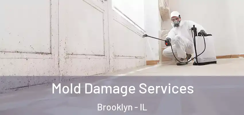  Mold Damage Services Brooklyn - IL