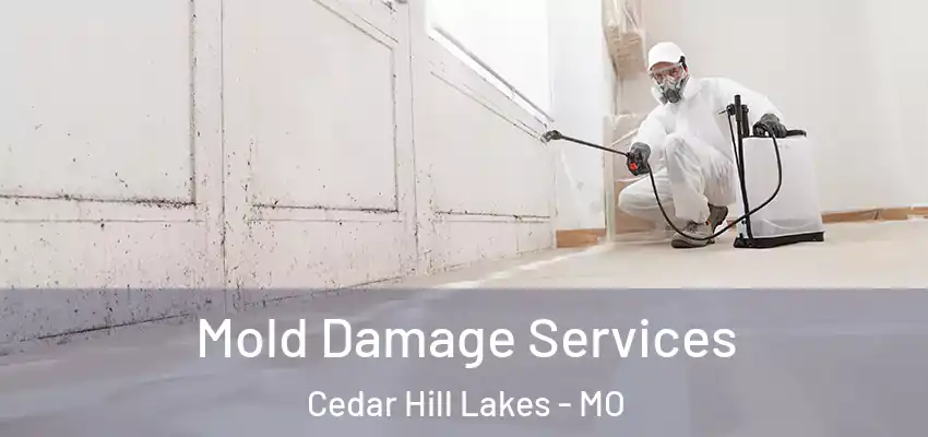 Mold Damage Services Cedar Hill Lakes - MO