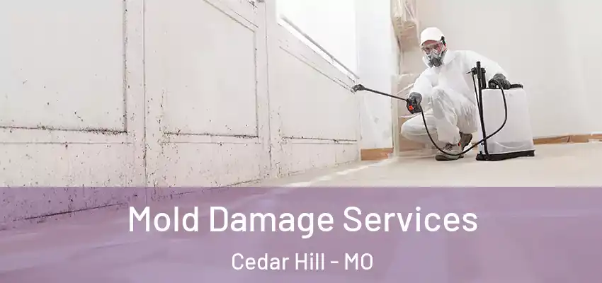  Mold Damage Services Cedar Hill - MO