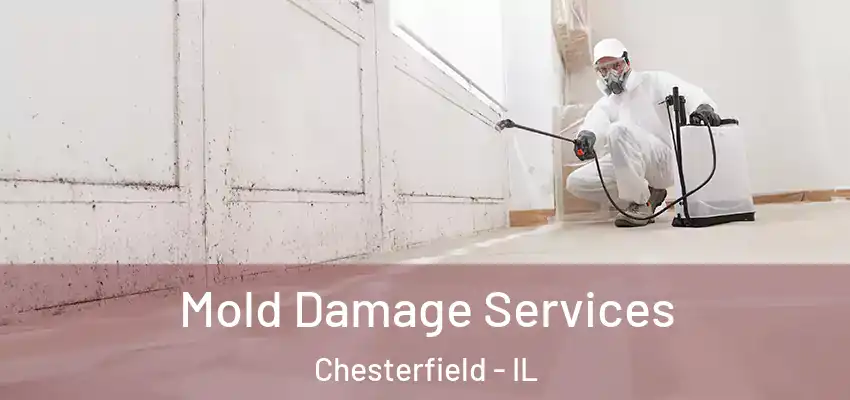  Mold Damage Services Chesterfield - IL