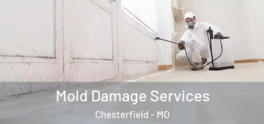  Mold Damage Services Chesterfield - MO