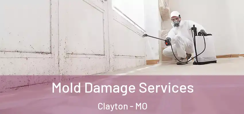 Mold Damage Services Clayton - MO