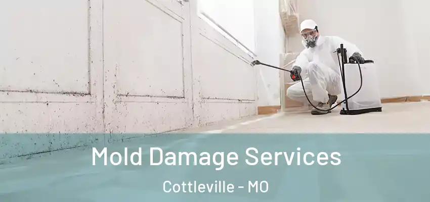  Mold Damage Services Cottleville - MO
