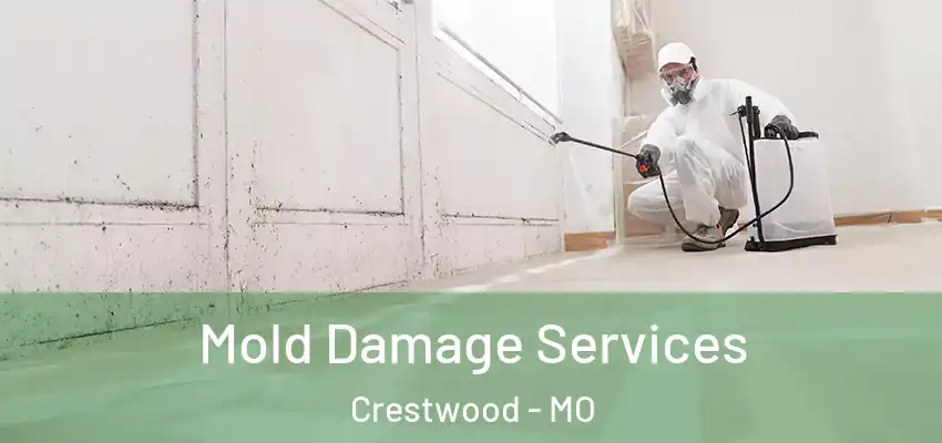Mold Damage Services Crestwood - MO