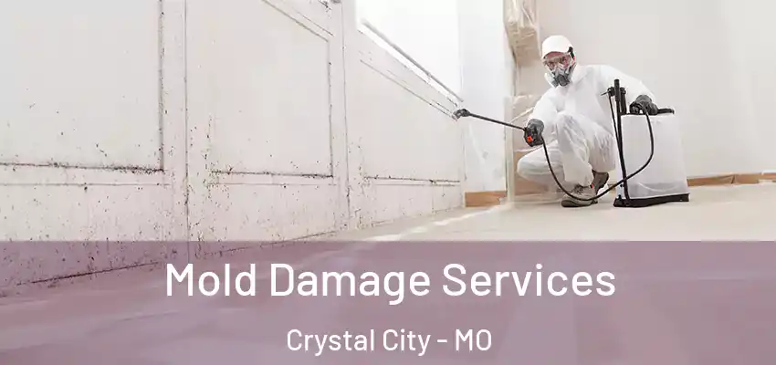  Mold Damage Services Crystal City - MO