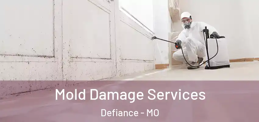  Mold Damage Services Defiance - MO