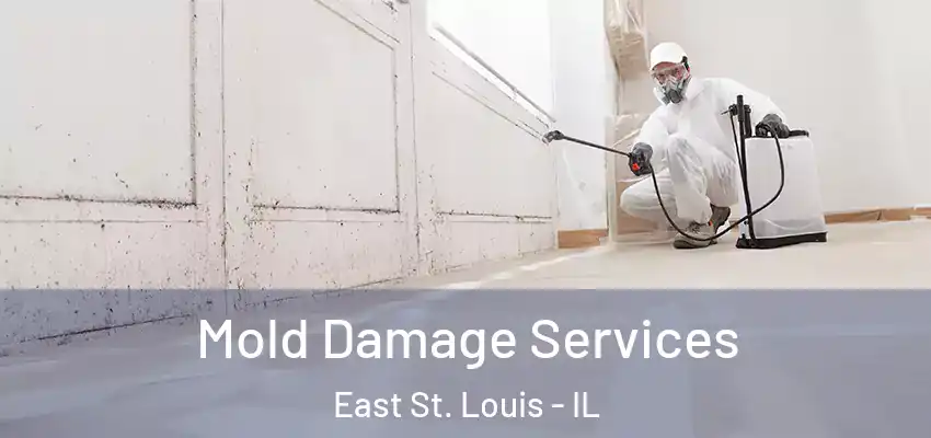  Mold Damage Services East St. Louis - IL
