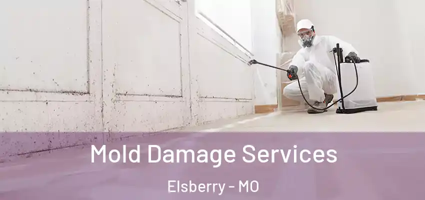  Mold Damage Services Elsberry - MO