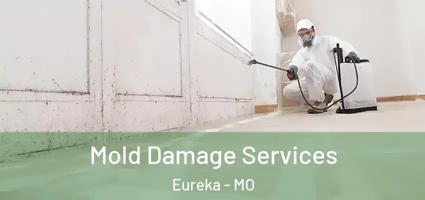 Mold Damage Services Eureka - MO