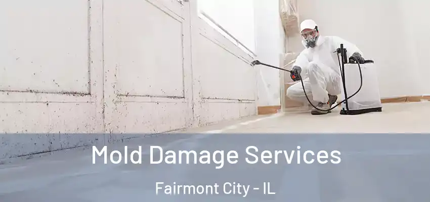  Mold Damage Services Fairmont City - IL