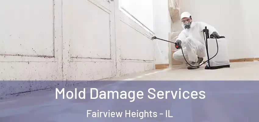  Mold Damage Services Fairview Heights - IL