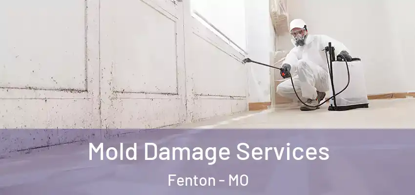 Mold Damage Services Fenton - MO