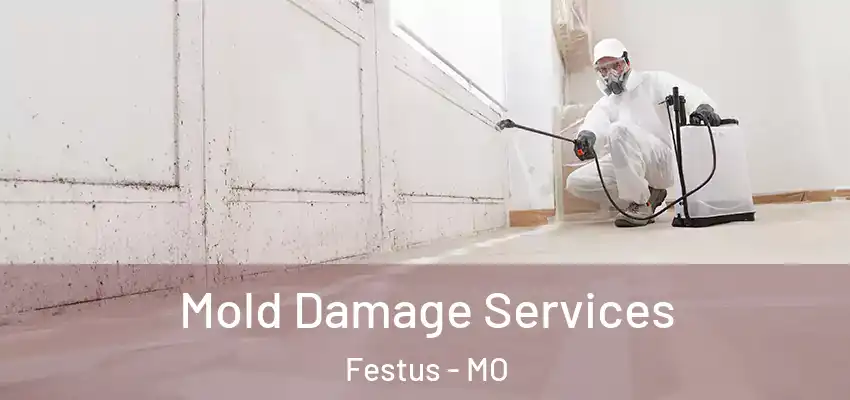 Mold Damage Services Festus - MO