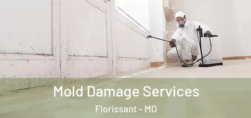 Mold Damage Services Florissant - MO