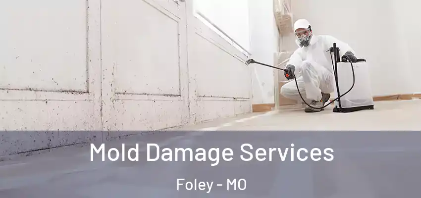 Mold Damage Services Foley - MO