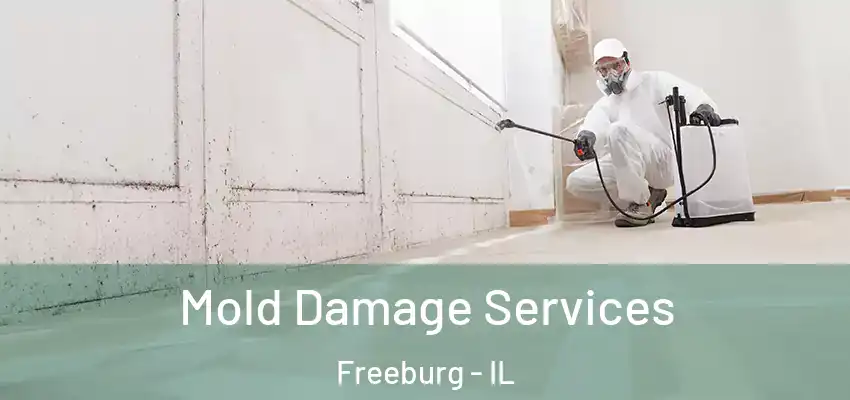  Mold Damage Services Freeburg - IL