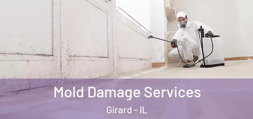  Mold Damage Services Girard - IL