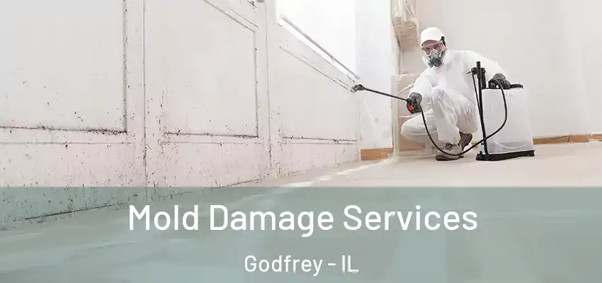 Mold Damage Services Godfrey - IL
