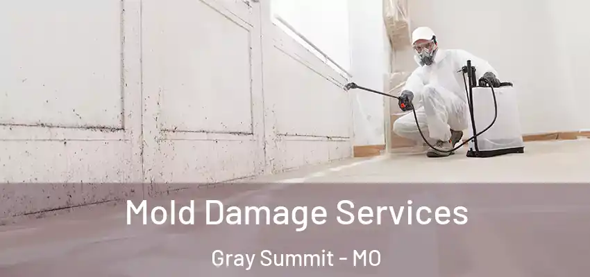 Mold Damage Services Gray Summit - MO