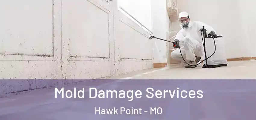 Mold Damage Services Hawk Point - MO