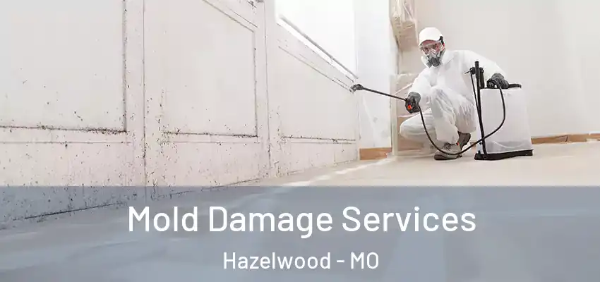 Mold Damage Services Hazelwood - MO