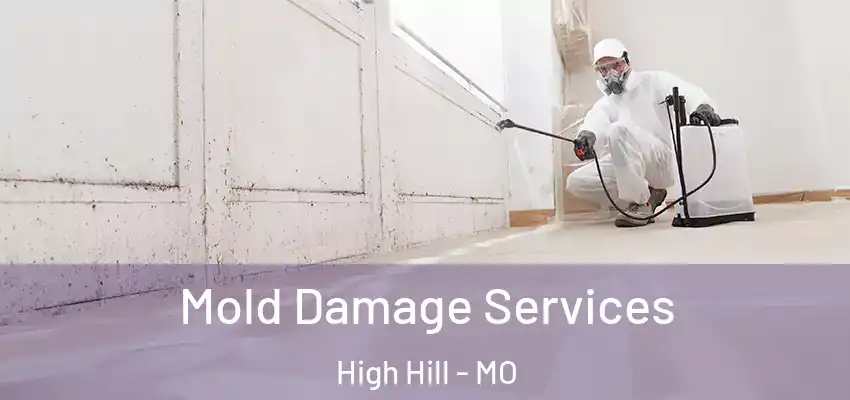  Mold Damage Services High Hill - MO