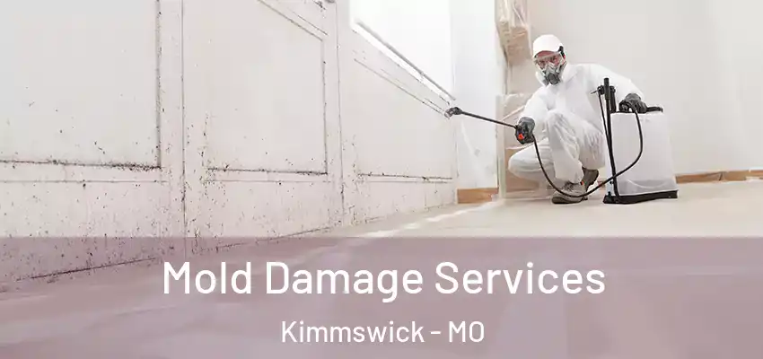 Mold Damage Services Kimmswick - MO