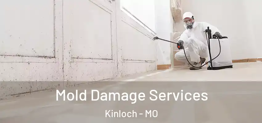  Mold Damage Services Kinloch - MO