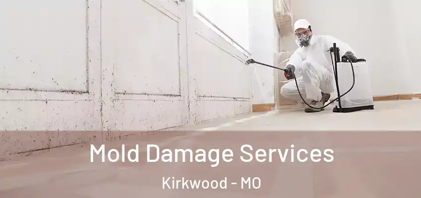 Mold Damage Services Kirkwood - MO