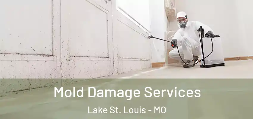  Mold Damage Services Lake St. Louis - MO