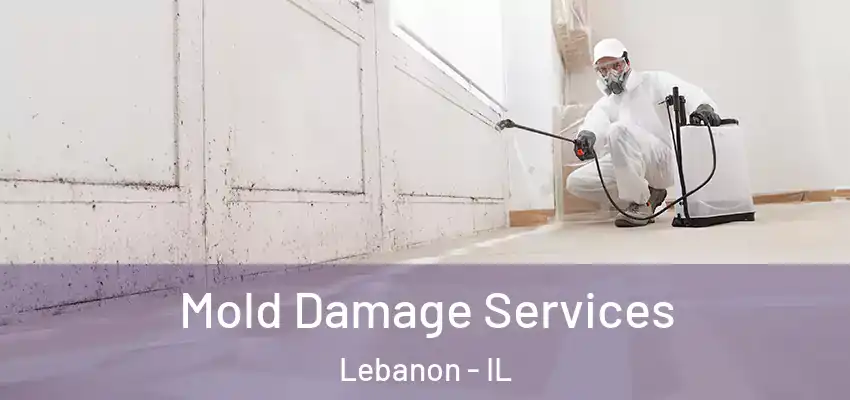  Mold Damage Services Lebanon - IL