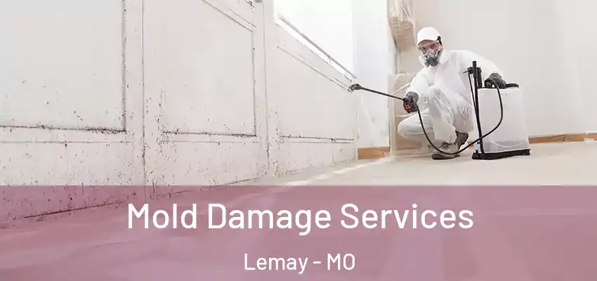 Mold Damage Services Lemay - MO