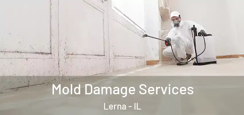 Mold Damage Services Lerna - IL
