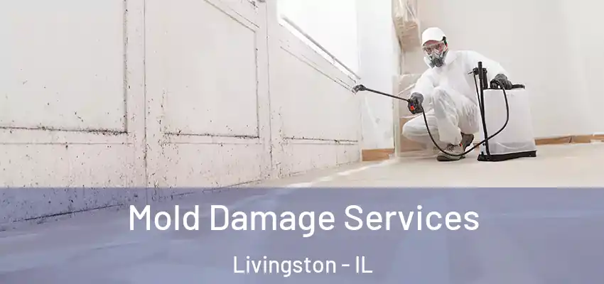  Mold Damage Services Livingston - IL
