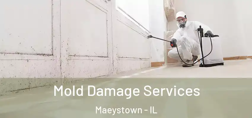 Mold Damage Services Maeystown - IL
