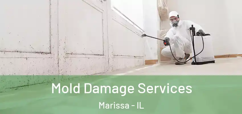  Mold Damage Services Marissa - IL