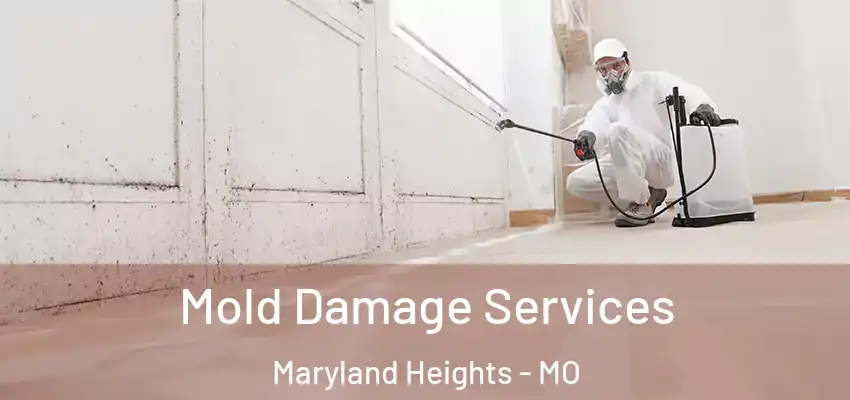  Mold Damage Services Maryland Heights - MO