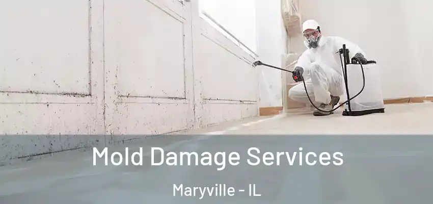 Mold Damage Services Maryville - IL